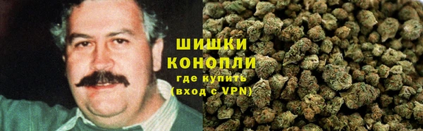ПСИЛОЦИБИНОВЫЕ ГРИБЫ Верхний Тагил